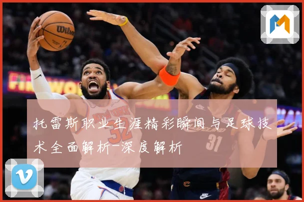 托雷斯职业生涯精彩瞬间与足球技术全面解析-深度解析