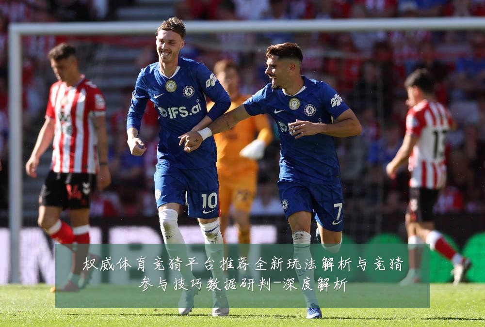 权威体育竞猜平台推荐全新玩法解析与竞猜参与技巧数据研判-深度解析